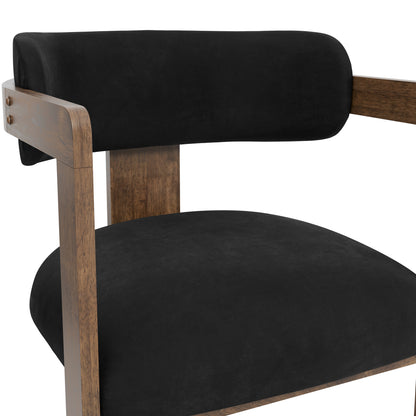 Modern black armchair with wooden accents